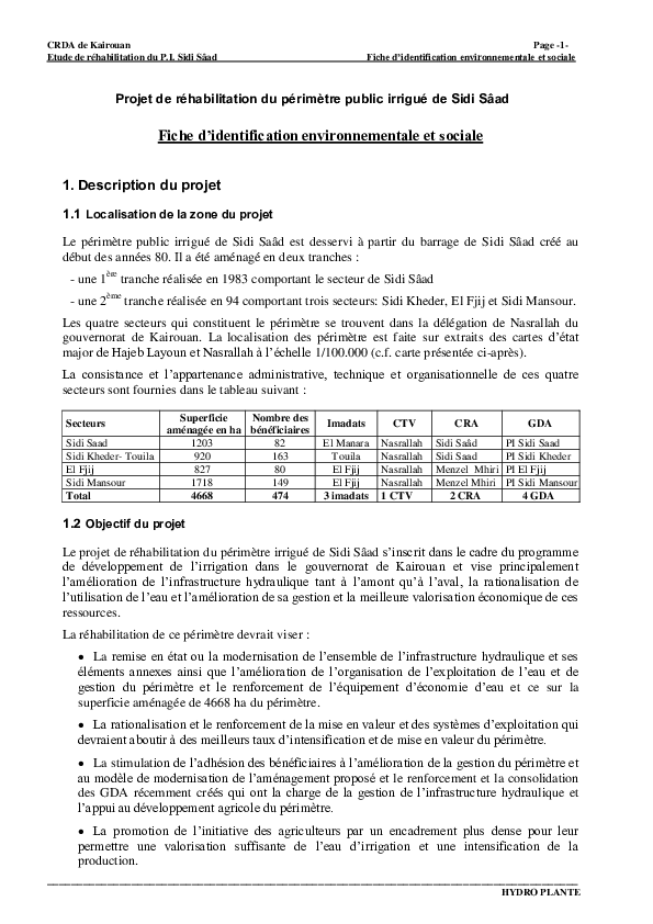 FIES_Sidi_Saad.pdf
