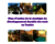 3_2.pdf