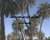 charte_oasis_Tunisie_AR.pdf