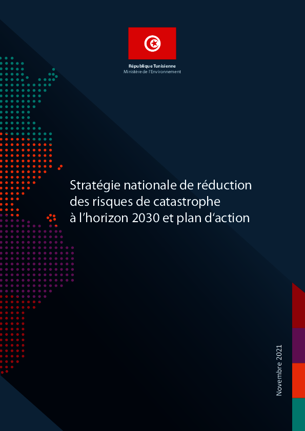 strategie_nationale_de_reduction_Finalise.pdf