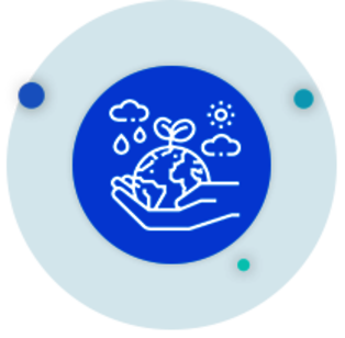 Etats de l'environnement national et régional