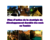 version_definitive_plan_action.pdf